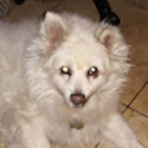 Meet your Posher, Marjorie e.